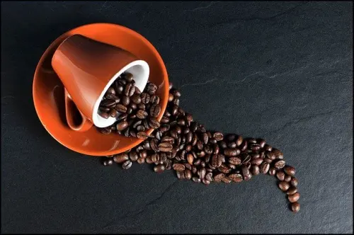 Masa Depan Kopi Indonesia di Tengah Krisis Iklim?