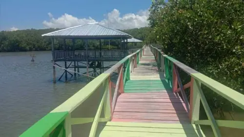 Pandemi Ubah Kawasan Wisata Mangrove Luppung jadi Lumpuh
