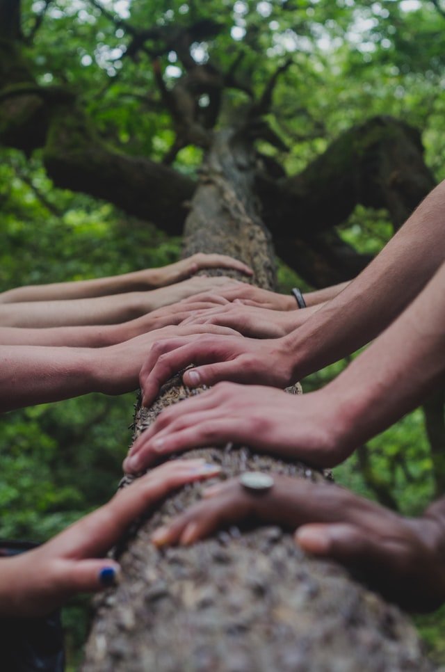 Perihal Sosialisasi  FOLU Net Sink 2030  dan Kekuatan Hutan Indonesia Menyerap Emisi