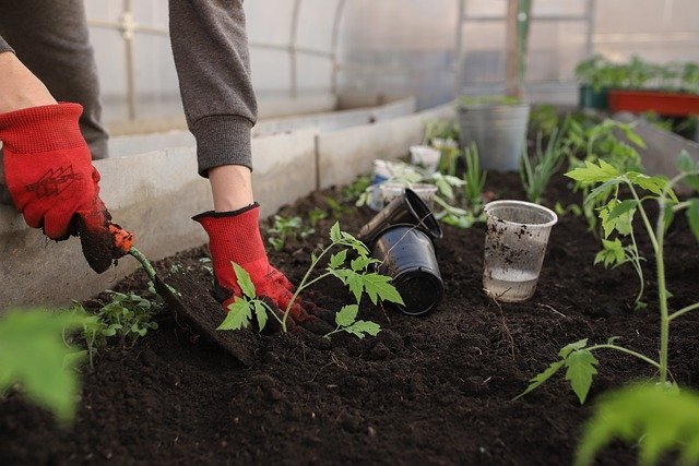 Tips Memilih Pot yang Tepat untuk Menanam Sayuran