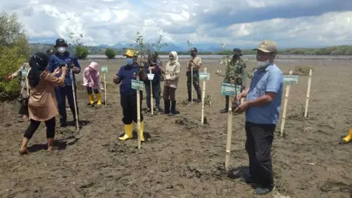 Dari Jeneponto, PT Pelindo Hijaukan Indonesia dengan Mangrove