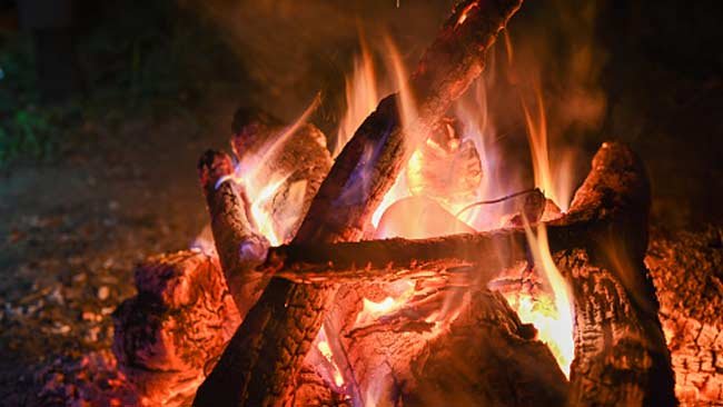 Akar Leluhur