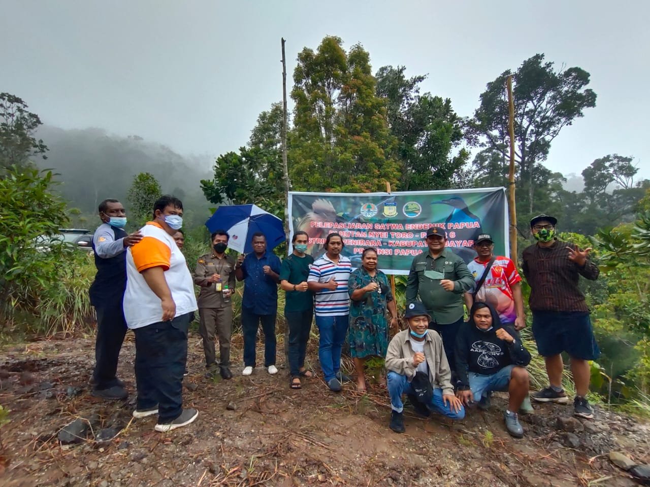 Ketika Burung-burung Surga Kembali ke Habitatnya di Hutan Nyei Toro