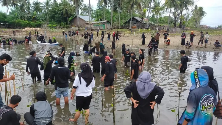 Aksi Menawan 253 Relawan Muda Menanam Mangrove di Bulukumba