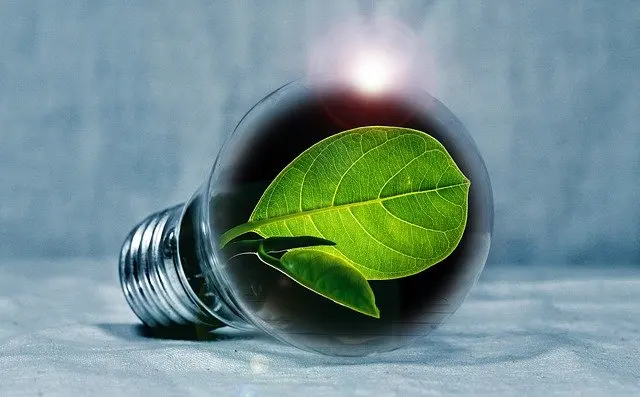 Tahun 2022, Indonesia Perlu Kejar Kesiapan Ekosistem Transisi Energi