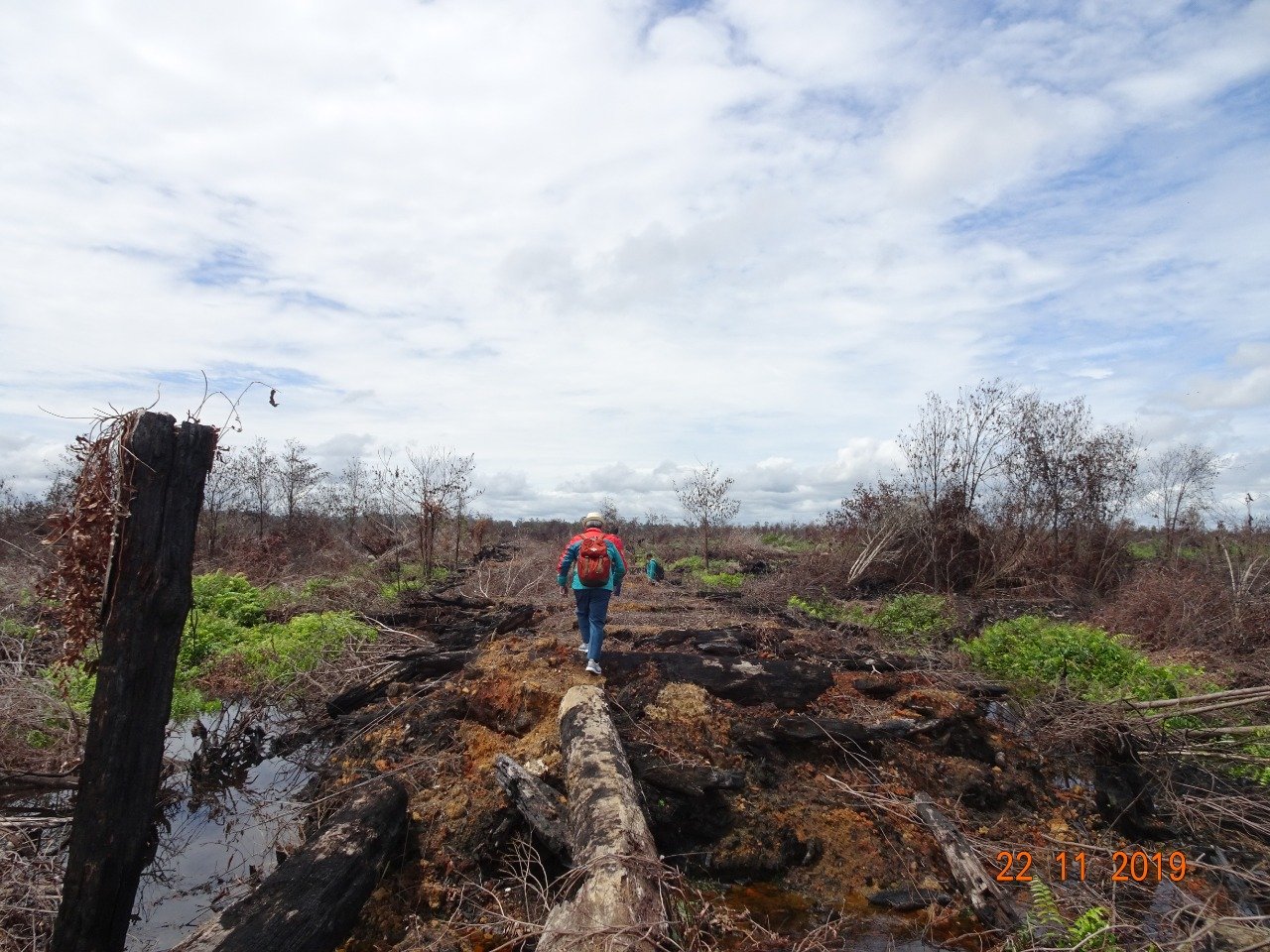 KLHK Menggugat Dua Korporasi Pembakar Hutan di Kalimantan