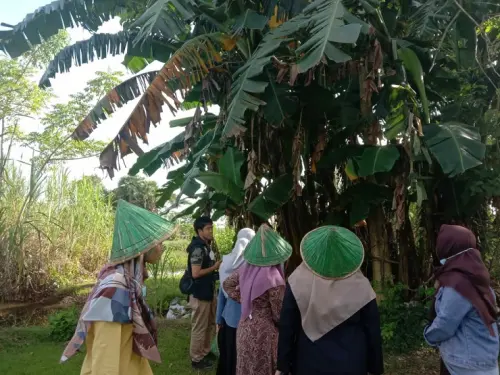 “Eksplorasi Flora” di DBG, Denassa Apresiasi Klikhijau yang Fokus Literasi Lingkungan