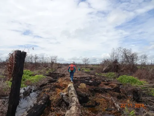 KLHK Menggugat Dua Korporasi Pembakar Hutan di Kalimantan