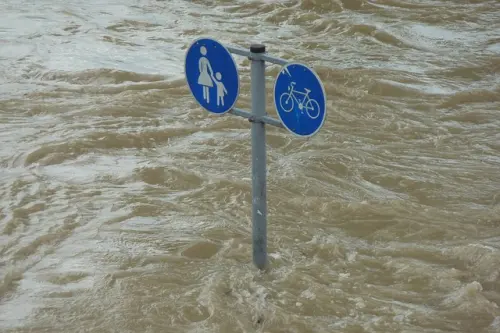 Penikmat Banjir yang Bahagia