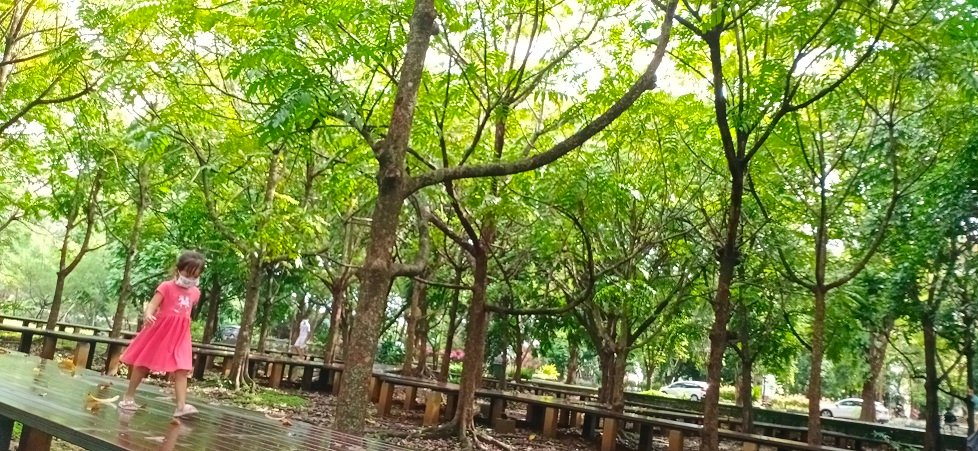 Aku, Pohon Dao, dan Cerita Saat Bersantai di Hutan Kota Unhas