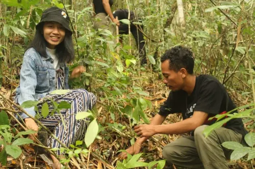 Aliansi Jurnalis Online, Hijaukan Mata Air di Manggarai Timur NTT