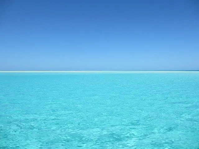 Kabar Baik, Perjanjian Perlindungan Keanekaragaman Hayati di Laut Lepas  Mulai Berlaku
