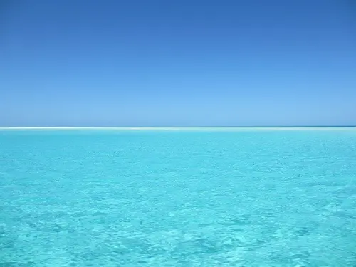 Kabar Baik, Perjanjian Perlindungan Keanekaragaman Hayati di Laut Lepas  Mulai Berlaku