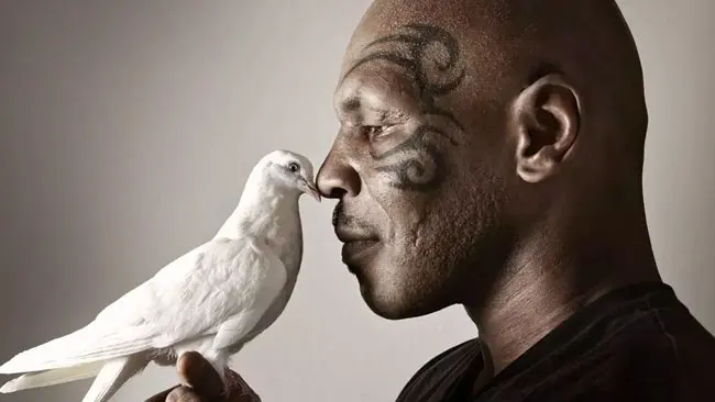Mike Tyson dan Sekumpulan Quotes tentang Burung Merpati