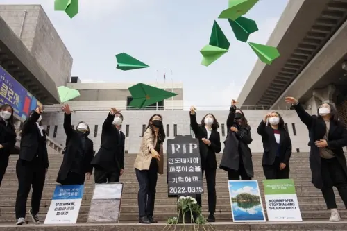 Perusahaan Kertas Korea Diduga Menjarah Hutan Hujan Terakhir di Papua