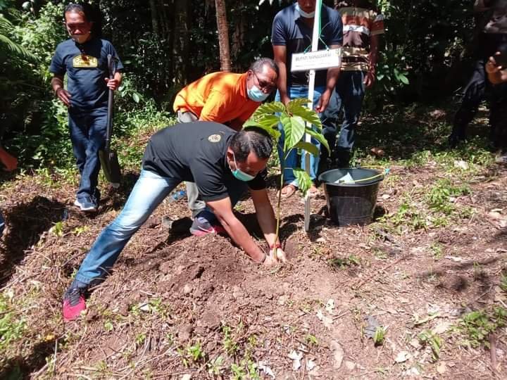 Berulang Tahun ke-31, Perumda Tirta Komodo Tanam Pohon di Manggarai   