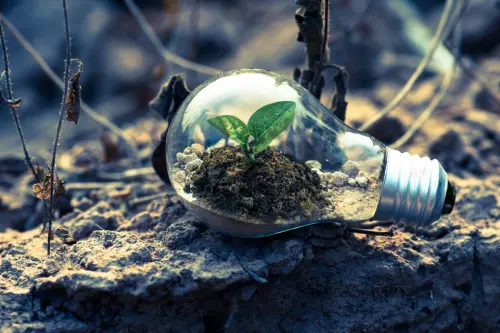 Ingin Dirikan Startup Hijau? Ini 5 Cara agar Dapat Dana dari Investor
