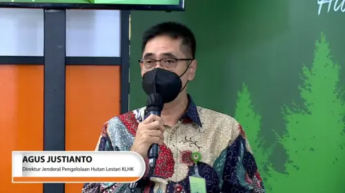 KLHK Tegaskan Proyek Karbon Hutan Harus Sesuai Regulasi Negara