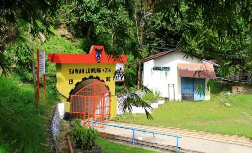 KEHATI Sulap Lahan Bekas Tambang Batu Bara Sawahlunto Jadi Kawasan Konservasi