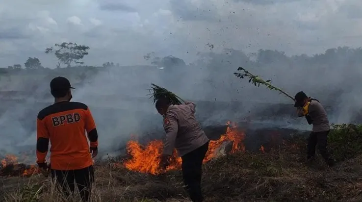 Lima Hektar Lahan di Kalteng Kebakaran, Waspada Awal Musim Kemarau