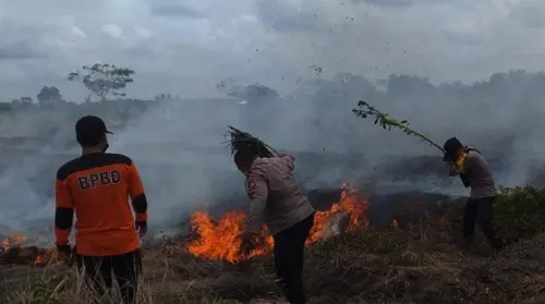 Lima Hektar Lahan di Kalteng Kebakaran, Waspada Awal Musim Kemarau