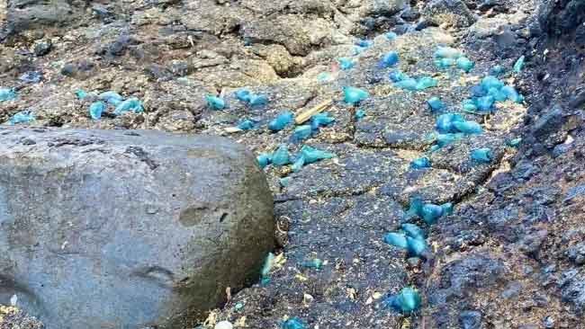 Mengenal Plastitar, Polutan Baru yang Mengintai Lingkungan