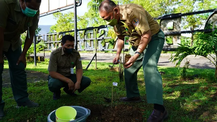 Momen Hari Lingkungan, BBKSDA Sulsel Lepasliarkan Satwa Plus Tanam Pohon