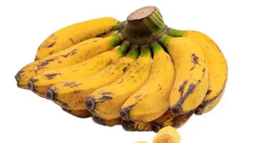 Pisang Raja Sereh, Rajanya Pisang Ijo yang Kaya Manfaat