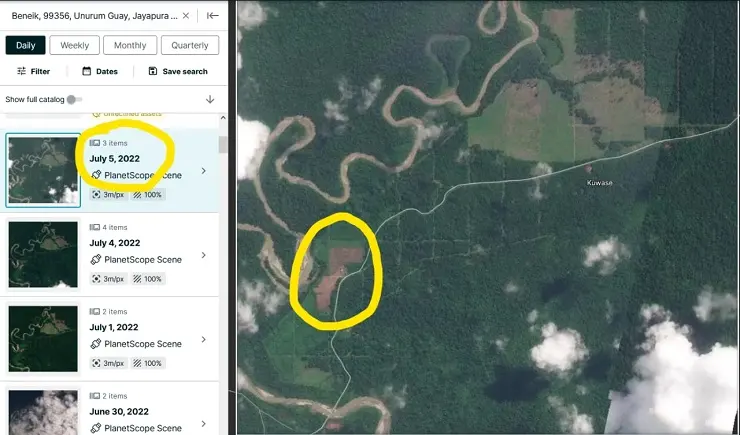 Greenpeace Desak Pemerintah Tindak Pelanggaran Lingkungan oleh Perusahaan Sawit di Papua