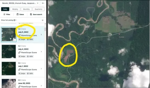 Greenpeace Desak Pemerintah Tindak Pelanggaran Lingkungan oleh Perusahaan Sawit di Papua