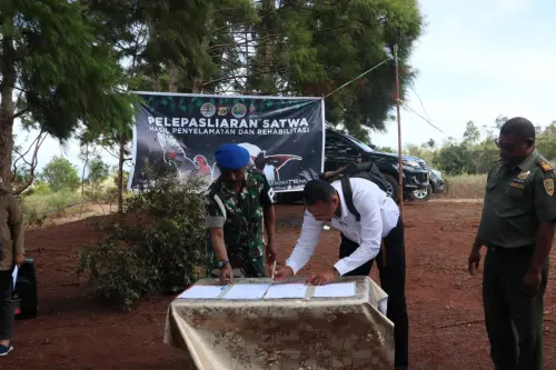 Tiga Belas Satwa Barang Bukti Titip Rawat Polda Papua Dilepasliarkan ke Habitatnya