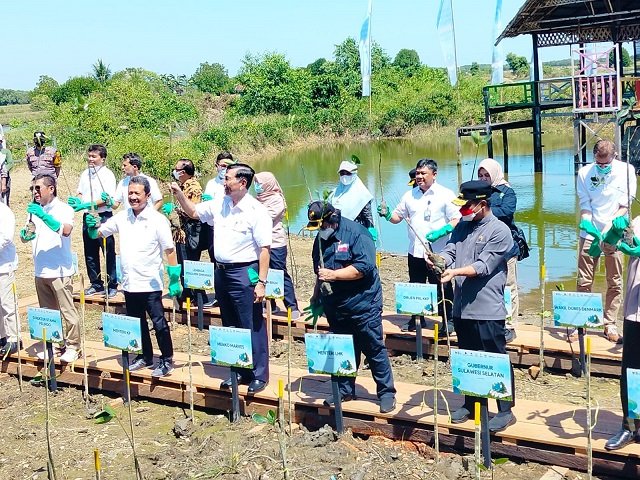 Hadiri Program Menanam Mangrove di Maros, Menko Marves Temui Alumni UID