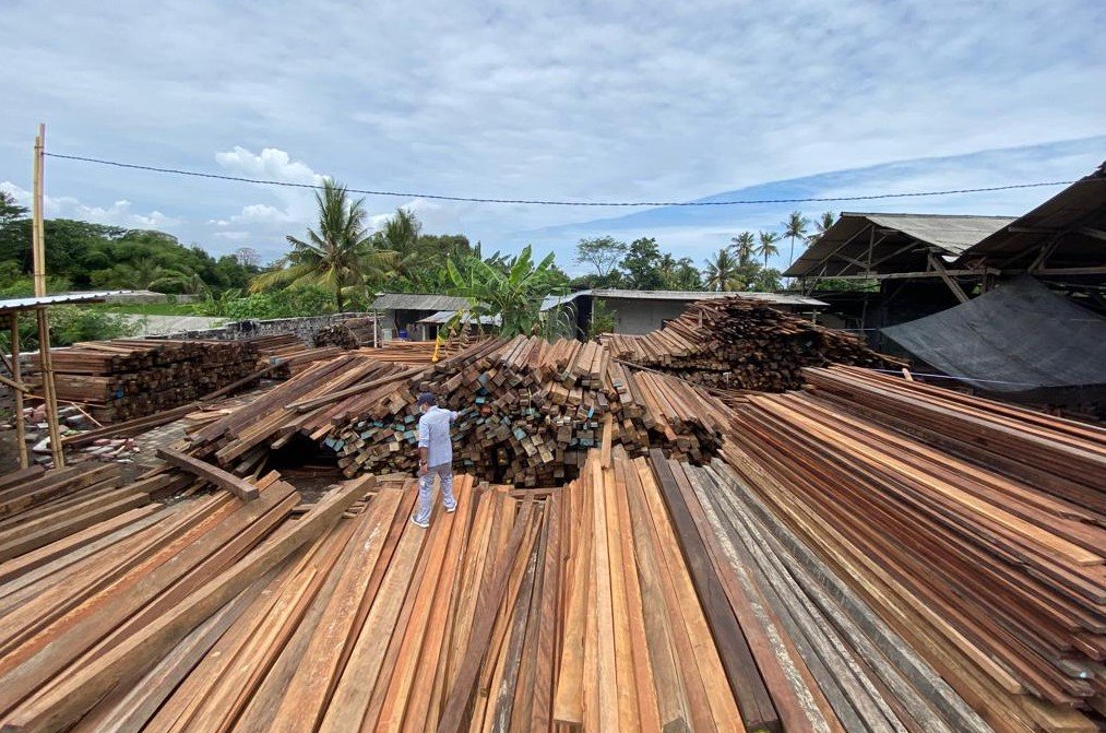 Tata Kawasan Mangrove Tahura Jelang KTT G-20, Gakkum KLHK Serahkan Ribuan Kayu Ke PUPR