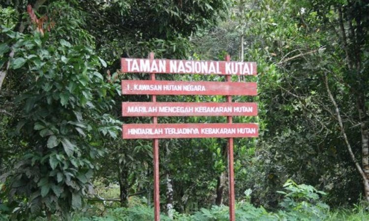 Mengenal Kawasan Konservasi Taman Nasional Kutai Kaltim