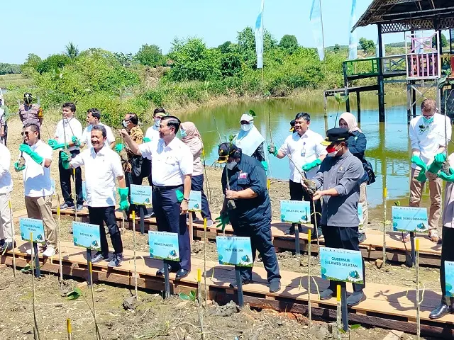 Hadiri Program Menanam Mangrove di Maros, Menko Marves Temui Alumni UID