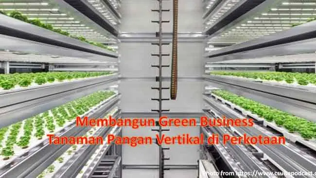 Membangun Green Business Tanaman Pangan Vertikal di Perkotaan