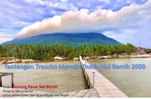 Tantangan Transisi Menuju Dunia Nol Bersih 2050