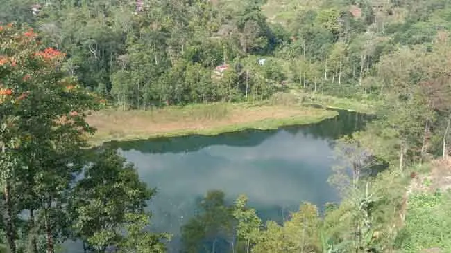 Ekosistem Danau Rentan Terhadap Asap Kebakaran Hutan