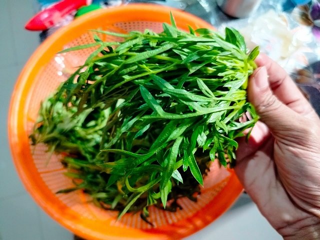 Daun Kenikir, Lalapan yang Kaya Manfaat dan Mudah Tumbuh