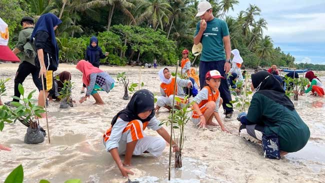 Menjaga Keseimbangan Lingkungan dan Ekosistem Mangrove ala PLN