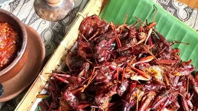 12 Kuliner Tradisional Indonesia yang Ekstrem