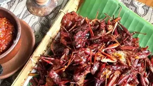 12 Kuliner Tradisional Indonesia yang Ekstrem