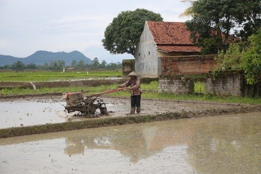 Universitas Pakuan Kaji Daya Dukung Pangan dan Lingkungan Berbasis Lahan Sawah di Purwakarta