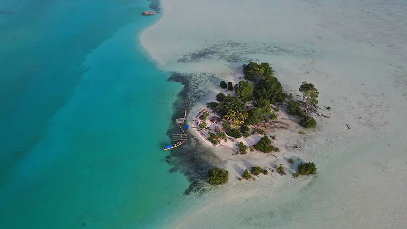 Persoalan Kepulauan Widi, Koral: Momentum Negara Perbaiki Pengelolaan Pesisir dan Pulau-pulau Kecil