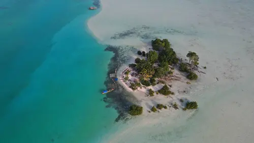 Persoalan Kepulauan Widi, Koral: Momentum Negara Perbaiki Pengelolaan Pesisir dan Pulau-pulau Kecil