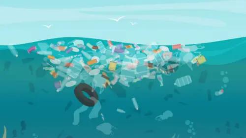Sampah-sampah Berumah di Bira