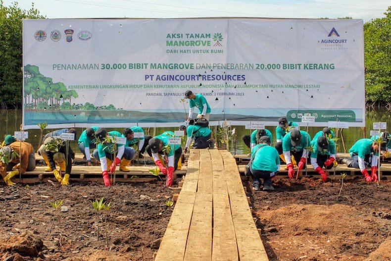 Peringati Hari Lahan Basah Sedunia, KLHK Tanam Tanam Mangrove di Tapanuli Tengah