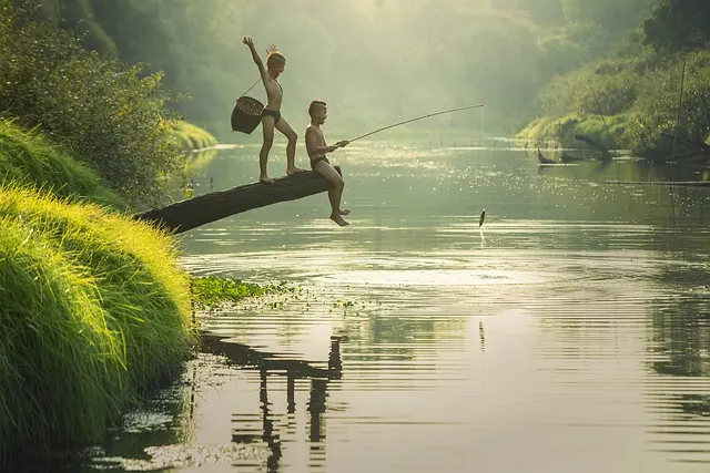 Daerah Aliran Sungai (DAS), Pengertian dan Bagaimana Melindunginya