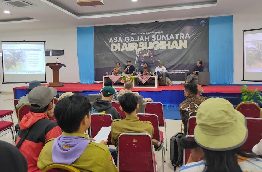 Melalui Komik Strip, Belantara Foundation Edukasi Harmoni Gajah dan Manusia