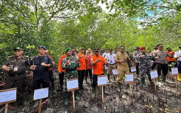 Sambut HUT Ke-51, Basarnas Maumere NTT Tanam Mangrove di Pantai Kolisia